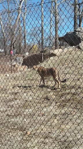 Foundation «The Henry Doorly Zoo», reviews and photos, 3701 S 10th St, Omaha, NE 68107, USA