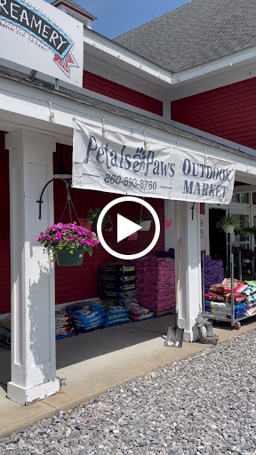 Florist «Petals & Paws», reviews and photos, 465 Albany Turnpike, Canton, CT 06019, USA