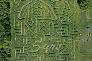 Fresh Acres Corn Maze and Pumpkin Patch image