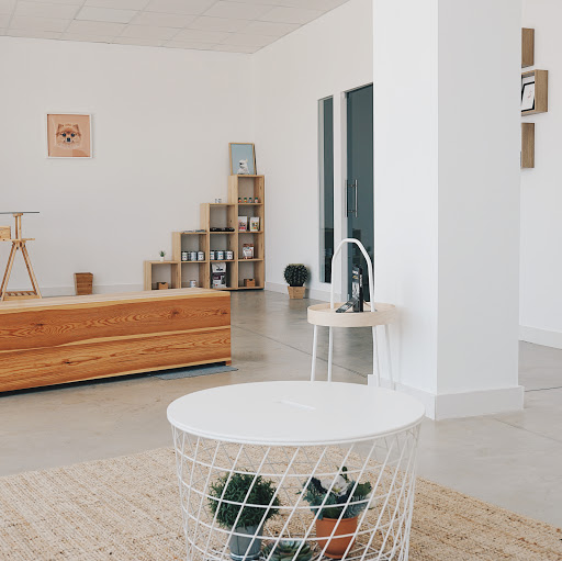 Colita | Clínica Veterinaria en Náquera