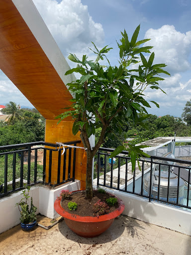 Nhà Nghỉ Yến Ngọc