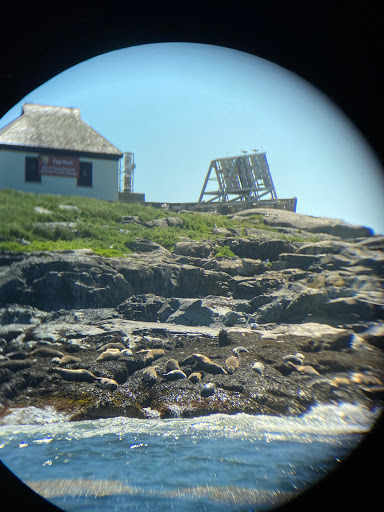 Sightseeing Tour Agency «Lulu Lobster Boat Ride», reviews and photos, 55 West St, Bar Harbor, ME 04609, USA