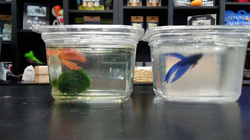 Pet Store «Pet Valu», reviews and photos, 644 E Main St, Waynesboro, PA 17268, USA