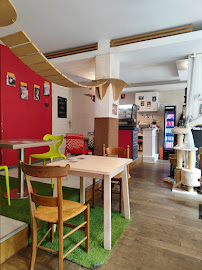 Atmosphère du Café Le Chat Puccino à Rennes - n°1