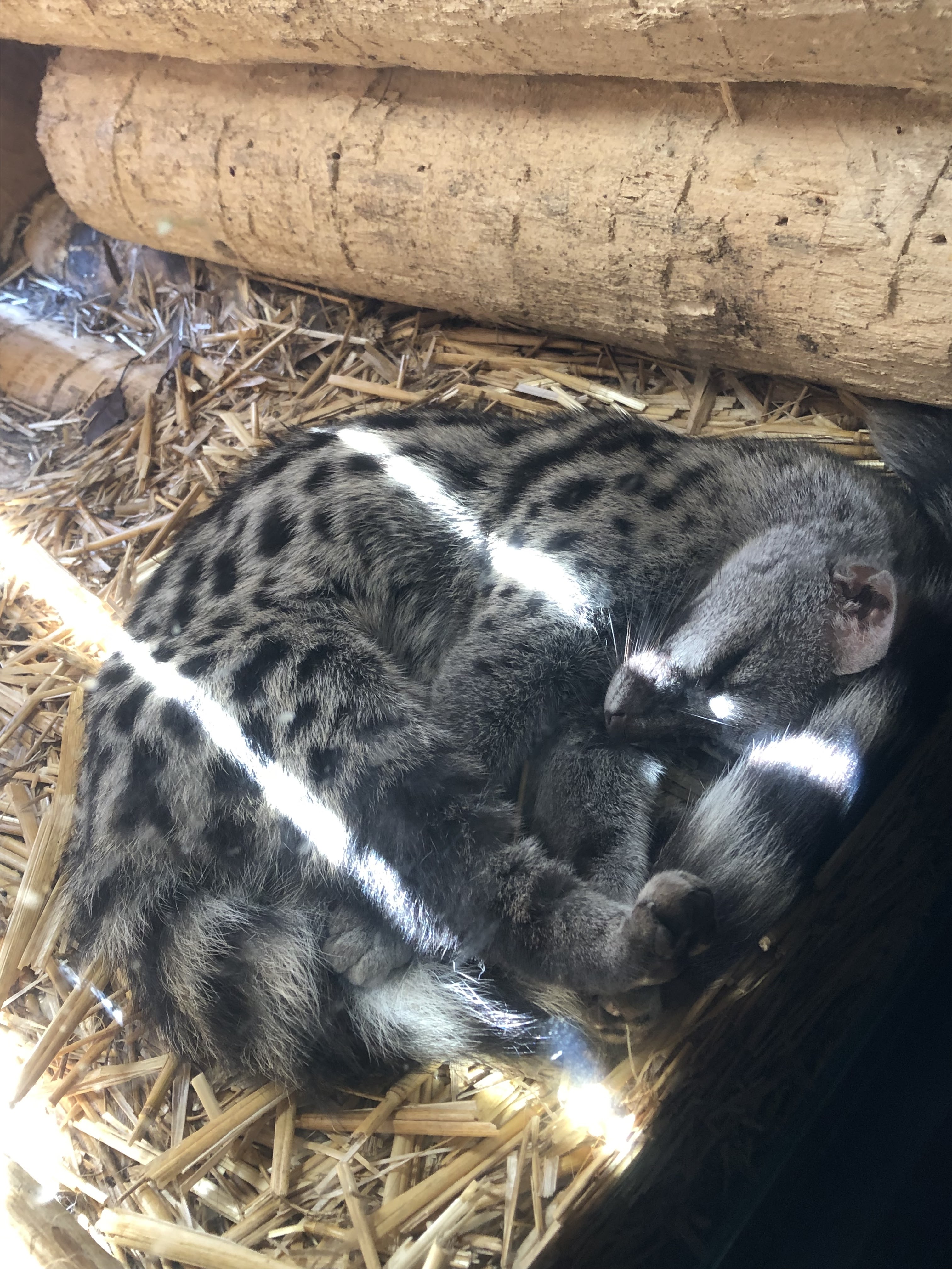 Photo n° 9 de l'avis de yanka.a fait le 20/08/2023 à 10:52