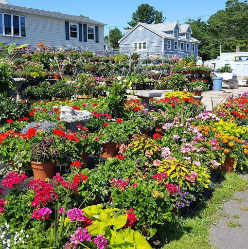 Shelley's Garden Center