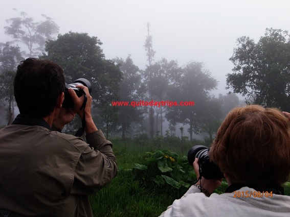 Mindo Cloud Forest.com - Agencia de viajes
