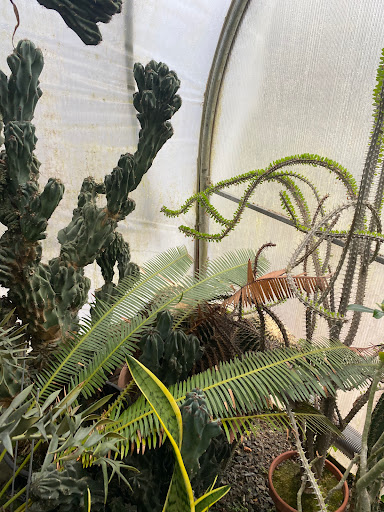 Florist «Floradise Orchids», reviews and photos, 19154 James Madison Hwy, Gordonsville, VA 22942, USA