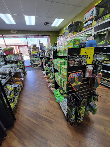 Curious Pets and Curiosities, Inc