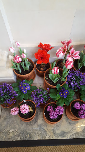 Art Museum «George Eastman Museum», reviews and photos, 900 East Ave, Rochester, NY 14607, USA