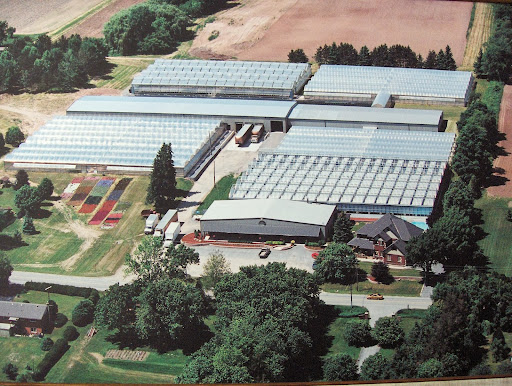 Scharringa Greenhouses Ltd