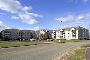 Briar Pond Apartments & Townhomes image
