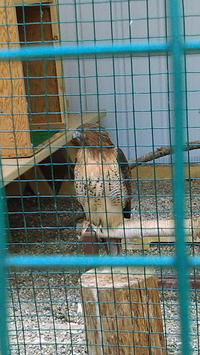 Tourist Attraction «Connecticut Audubon Center», reviews and photos, 1361 Main St, Glastonbury, CT 06033, USA