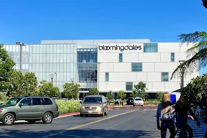 Bloomingdale's image