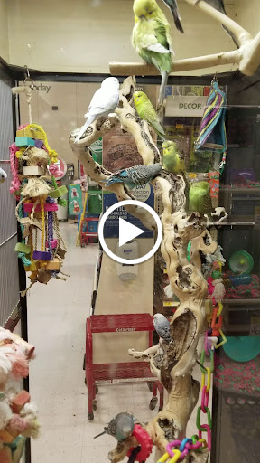 Pet Supply Store «PetSmart», reviews and photos, 4421 Virginia Beach Blvd, Virginia Beach, VA 23462, USA