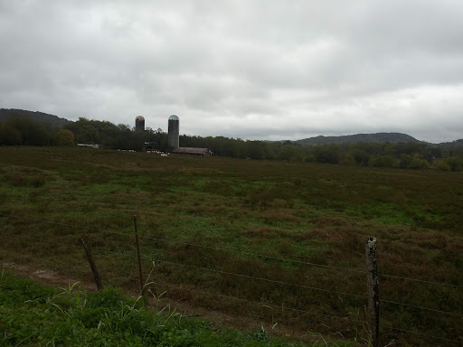 Restaurant «Old Delina Country Store», reviews and photos, 4397 John Barnes Rd, Cornersville, TN 37047, USA