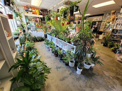 Toy Store «Zonkey», reviews and photos, 161 Jackson St, San Jose, CA 95112, USA