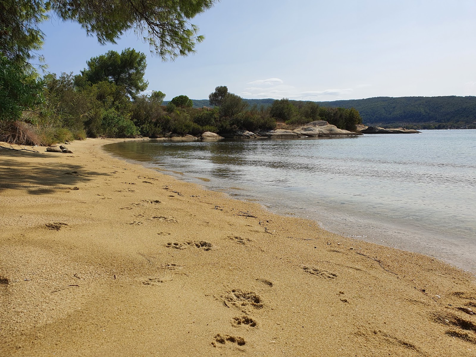 Valokuva Diaporos beach VIIista. pinnalla turkoosi puhdas vesi:n kanssa