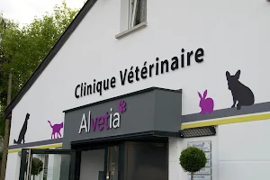 Veterinary Clinic Alvetia image