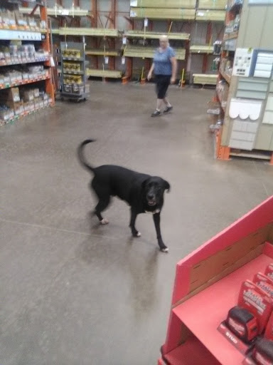 Home Improvement Store «The Home Depot», reviews and photos, 9 Gus Ave, Bloomsburg, PA 17815, USA