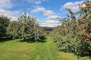 Windy Hill Orchard and Farm Market image