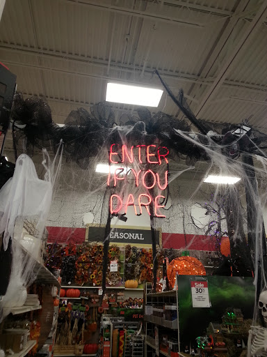 Craft Store «Michaels», reviews and photos, 475 Haggerty Rd, Commerce Charter Twp, MI 48390, USA