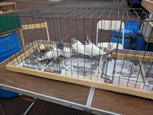 Pest Control Service «Moyer Indoor | Outdoor», reviews and photos, 113 E Reliance Rd, Souderton, PA 18964, USA