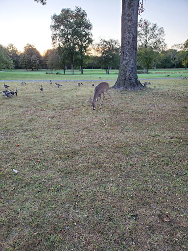 Public Golf Course «Valley Brook Golf Club», reviews and photos, 15 Rivervale Rd, River Vale, NJ 07675, USA