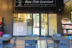 Raw Fish Gourmet image