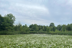 Herndon Monroe Wetland Preserve