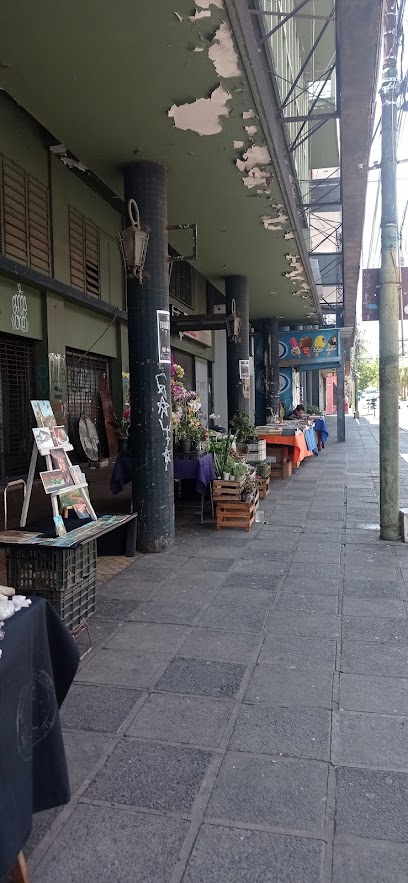 Mercado de pulgas Asunción
