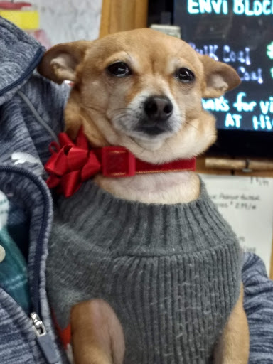 Pet Supply Store «Higbie Farm Supplies Inc», reviews and photos, 3440 Union St, North Chili, NY 14514, USA