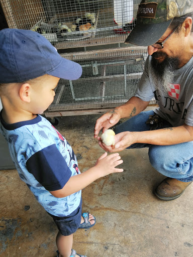 Western Apparel Store «Sunset Country & Western Wear», reviews and photos, 16300 SW 296th St, Homestead, FL 33033, USA