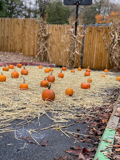 13840 Old Columbia Pike, Silver Spring, MD 20904, USA