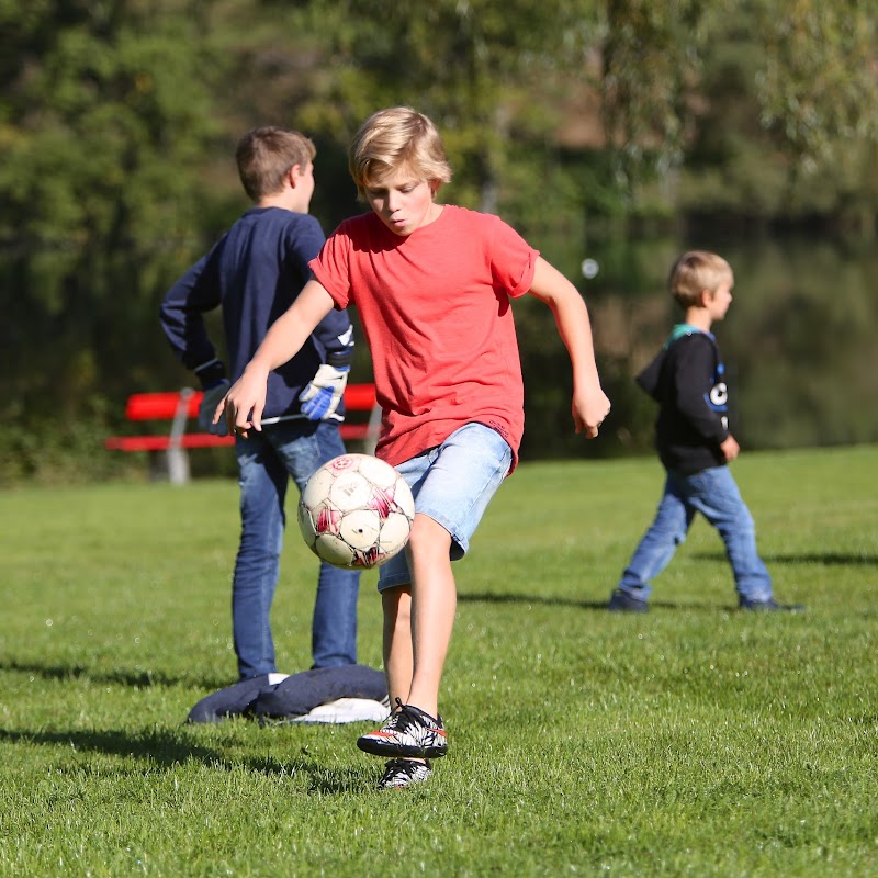 LMS-SCHULE Primar- & Sekundarschule Luzern und Zug