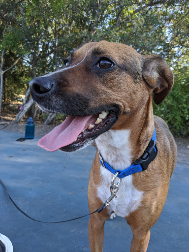 Park «Phil Hardberger Park», reviews and photos, 13203 Blanco Rd, San Antonio, TX 78216, USA