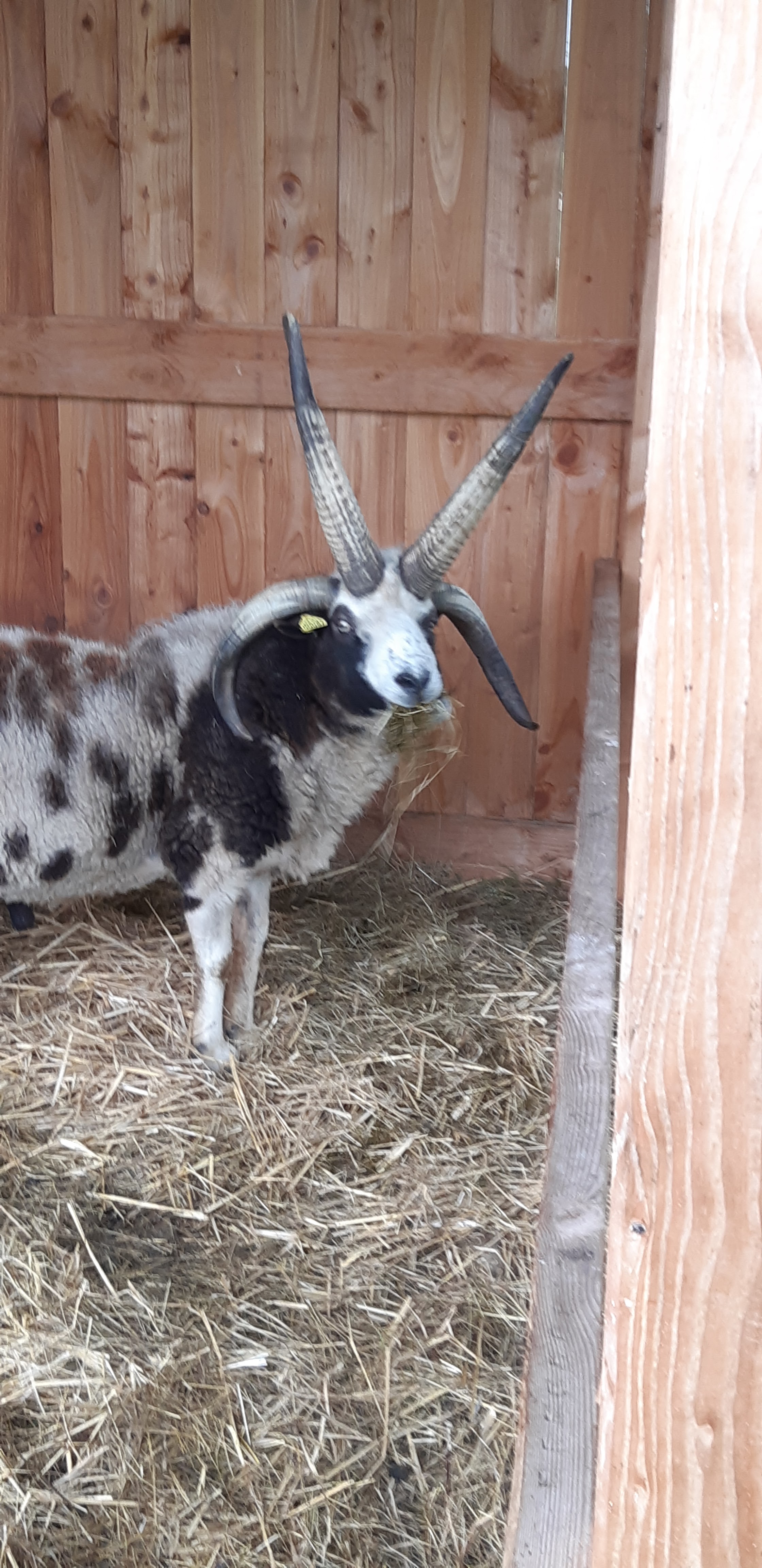 Photo n° 21 de l'avis de Yannick.a fait le 27/10/2019 à 14:17