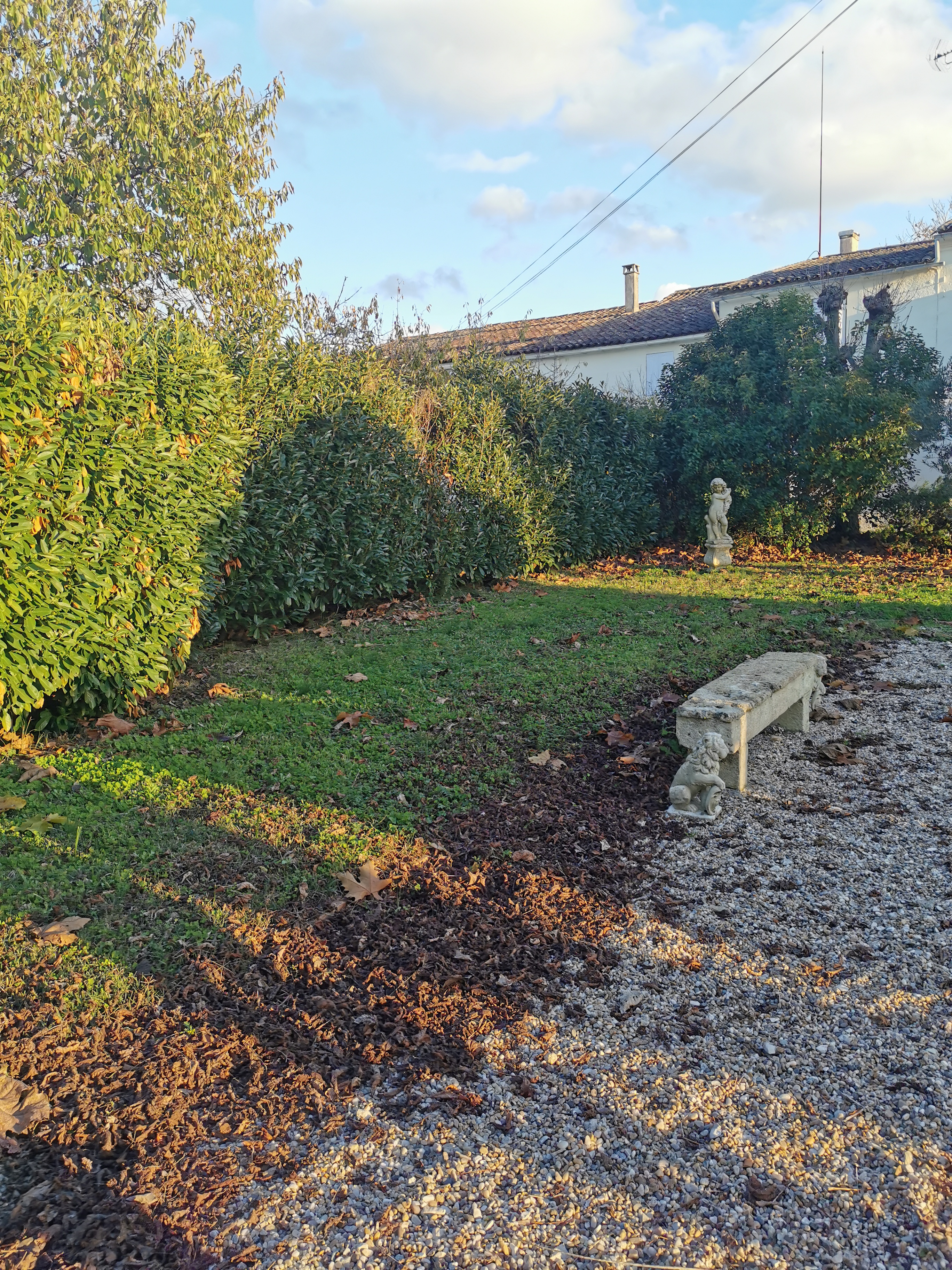 Photo n° 17 de l'avis de Tausif.a fait le 13/12/2022 à 08:16