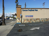 Carson Tropical Fish - Photo 2 - Car repair in Hawaiian Gardens, CA, Fullerton