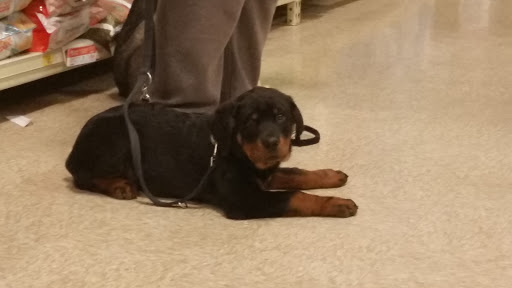 Pet Supply Store «PetSmart», reviews and photos, 9342 WI-16, Onalaska, WI 54650, USA