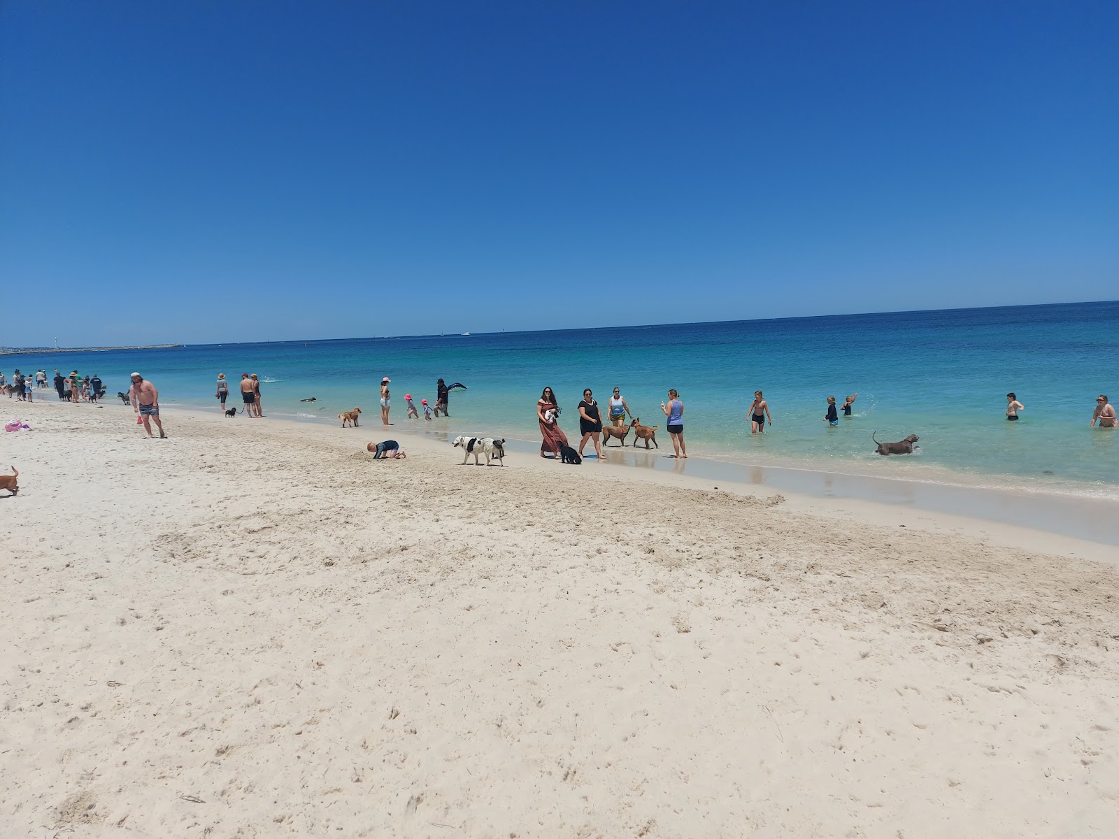 Foto van Hillarys Beach - populaire plek onder ontspanningskenners