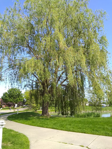 Park «Wahby Park», reviews and photos, 24800 Jefferson Ave, St Clair Shores, MI 48080, USA