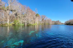 Silver Springs State Park image