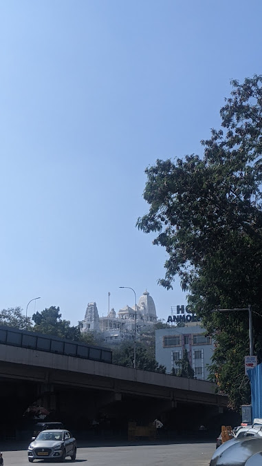 Google Maps image 14