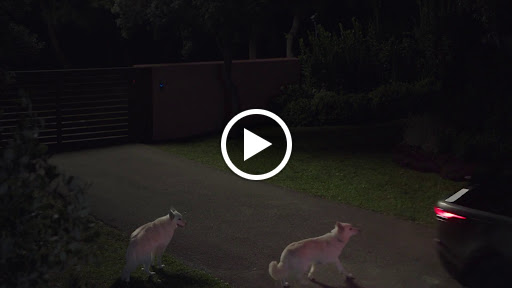 Land Rover Dealer «Land Rover Colorado Springs», reviews and photos, 565 Automotive Dr, Colorado Springs, CO 80905, USA