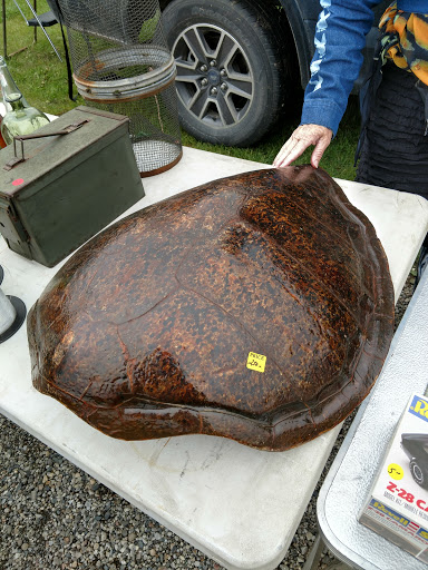 Flea Market «Armada Flea Market», reviews and photos, 25381 Armada Ridge Rd, Richmond, MI 48062, USA