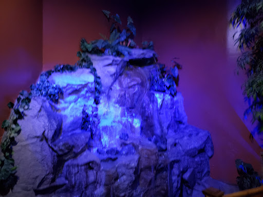 Casino «Macau Casino», reviews and photos, 9811 S Tacoma Way, Lakewood, WA 98499, USA