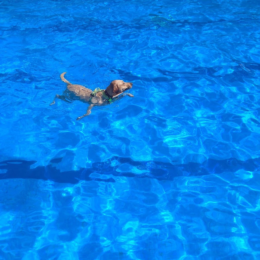 Piscina Municipal de San Martín de la Vega