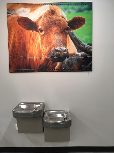 Bicycle Store «B3 Bicycles Howell (Bike Blade & Ball)», reviews and photos, 6798 U.S. 9, Howell, NJ 07731, USA