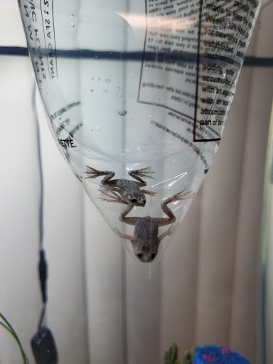 Pet Store «PetSmart», reviews and photos, 3720 River Point Parkway, Sheridan, CO 80110, USA